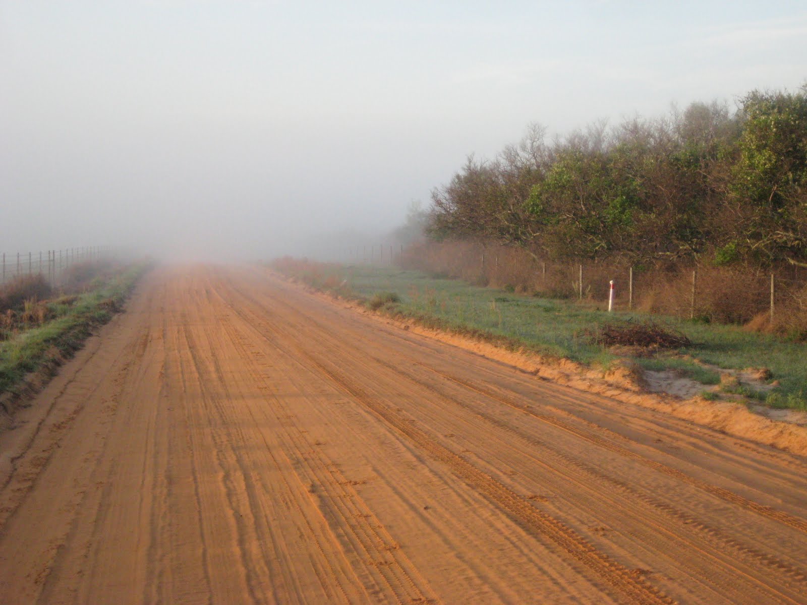 Sunday – Clay Road Run – 6 am