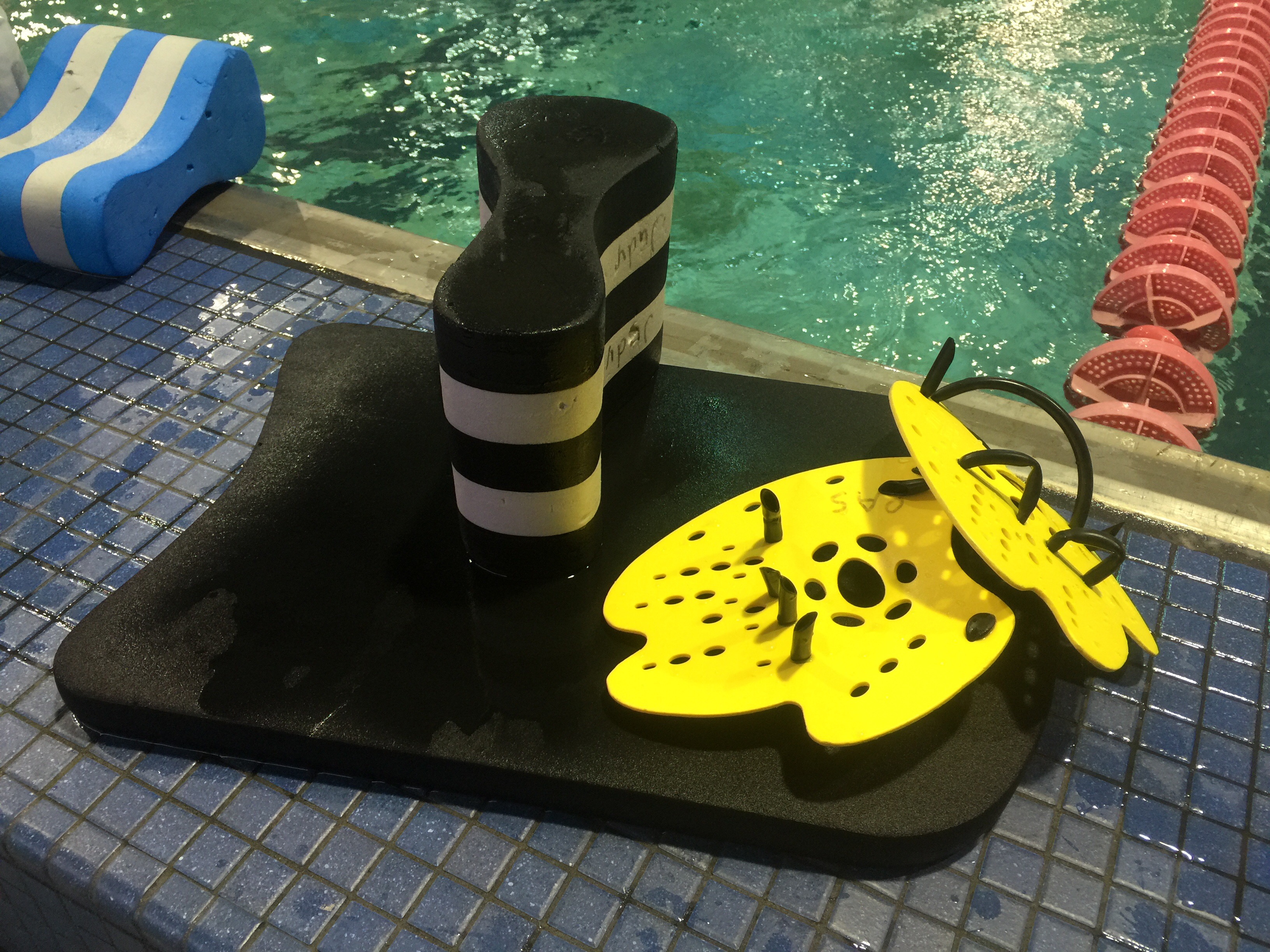 Monday – swim 