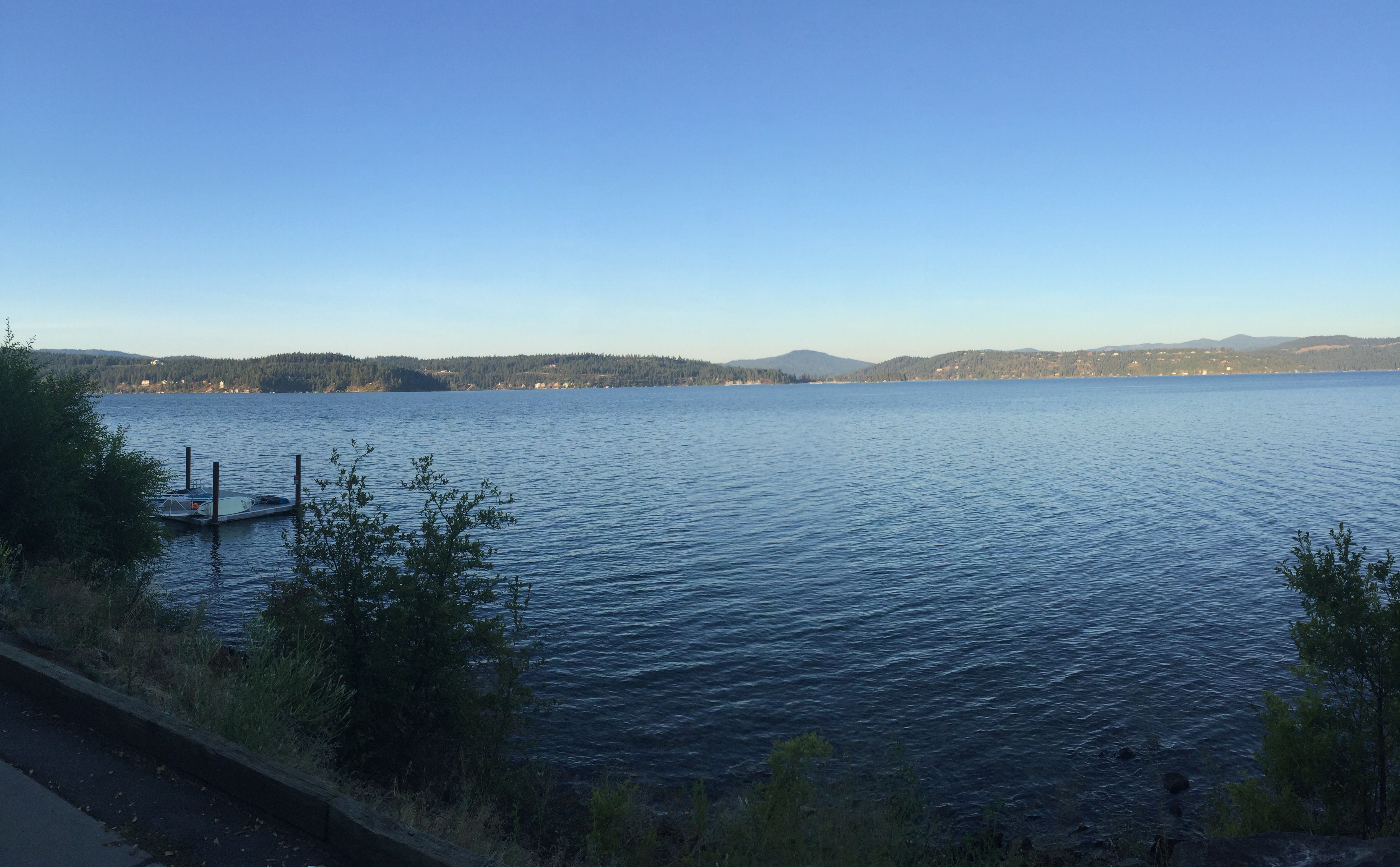 Monday – Swim