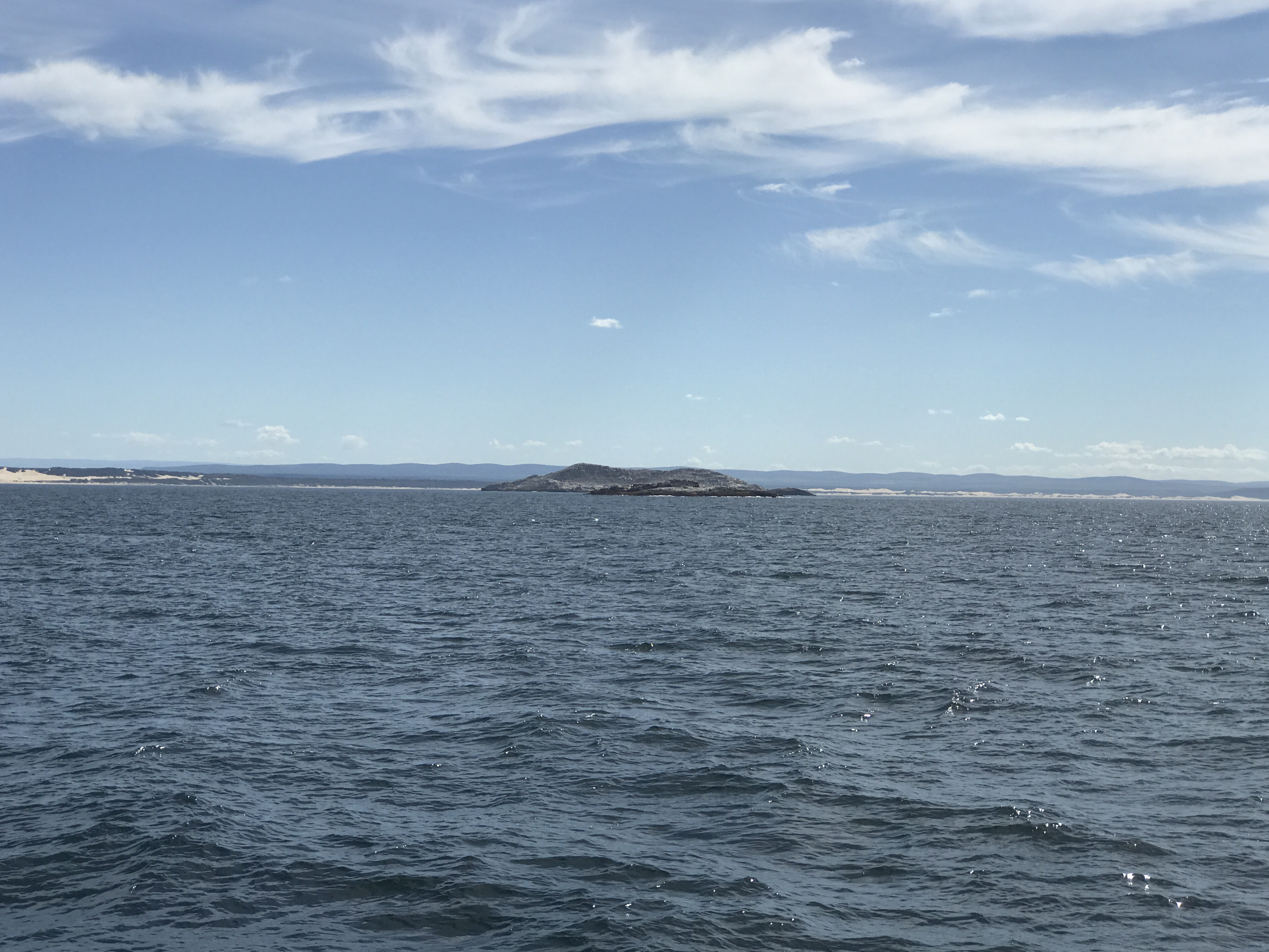 Wednesday – Swim
