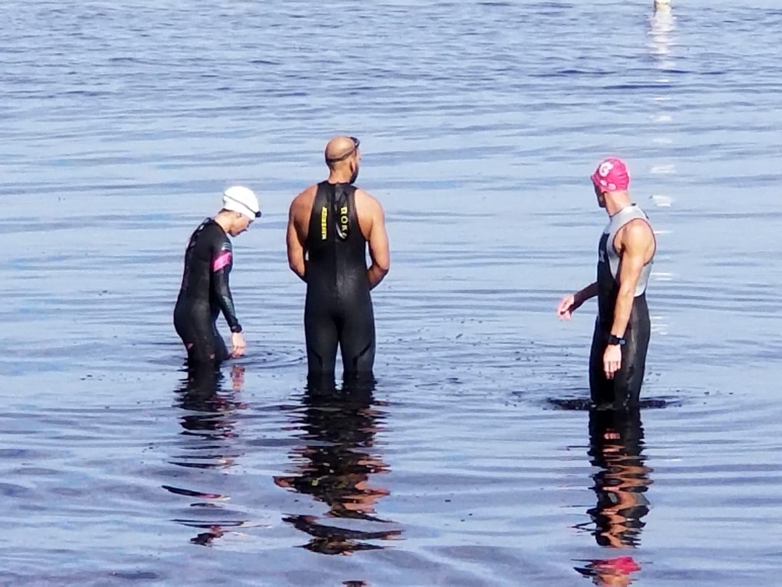 Recovery week  / Race Week