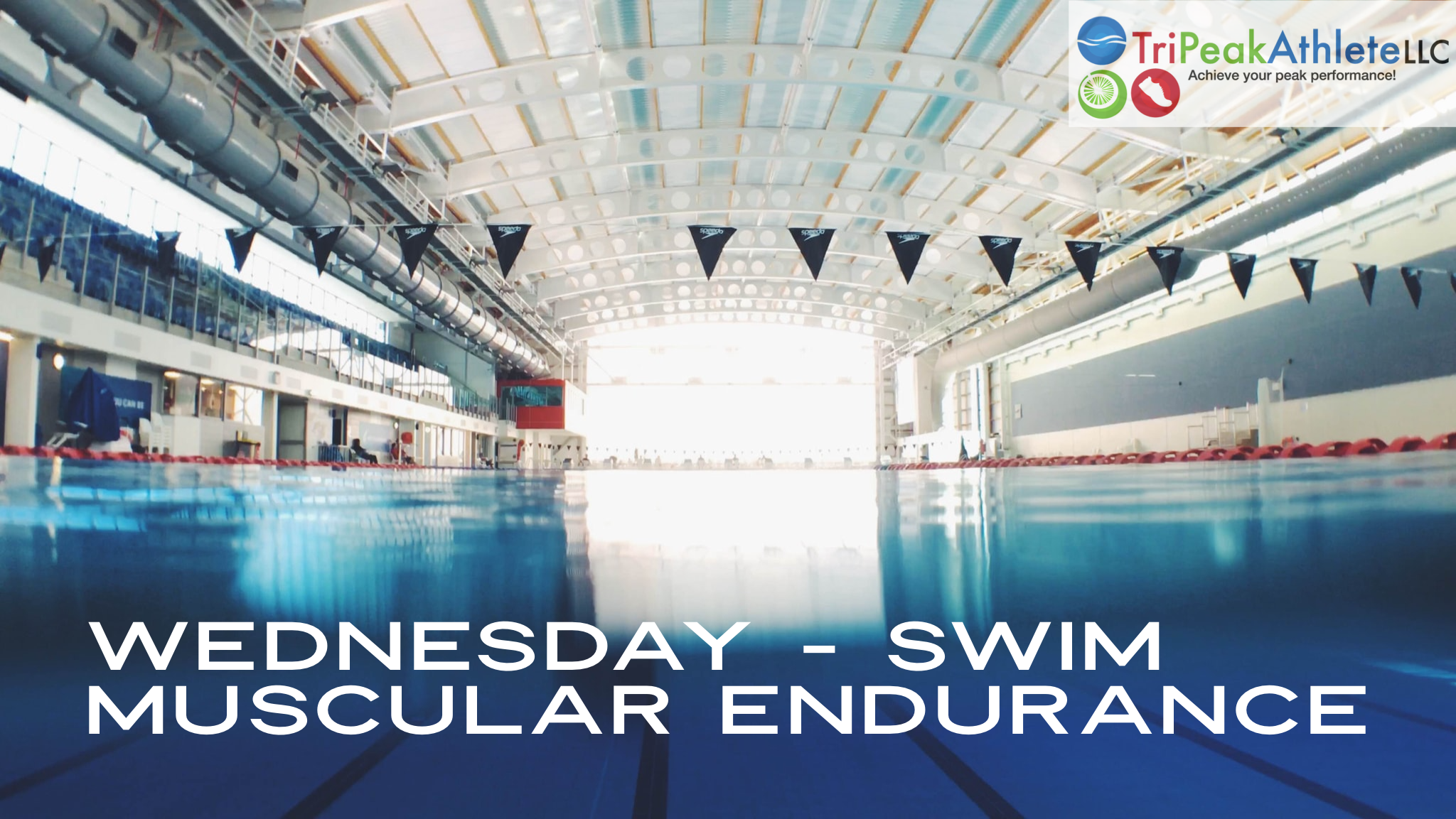WEdnesday – Swim