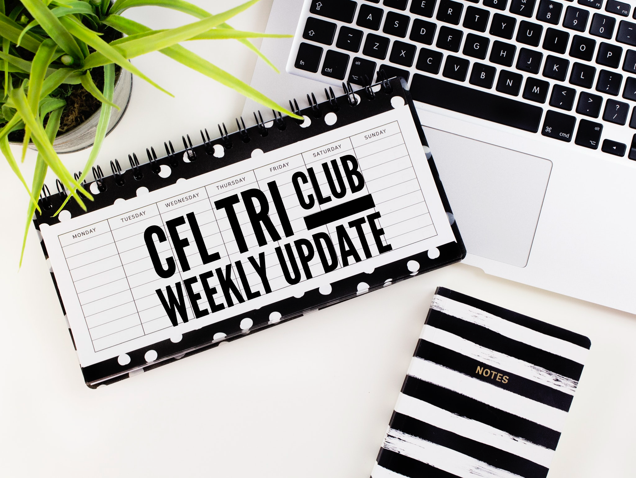 Weekly UPdate – March 23 – 27, 2020