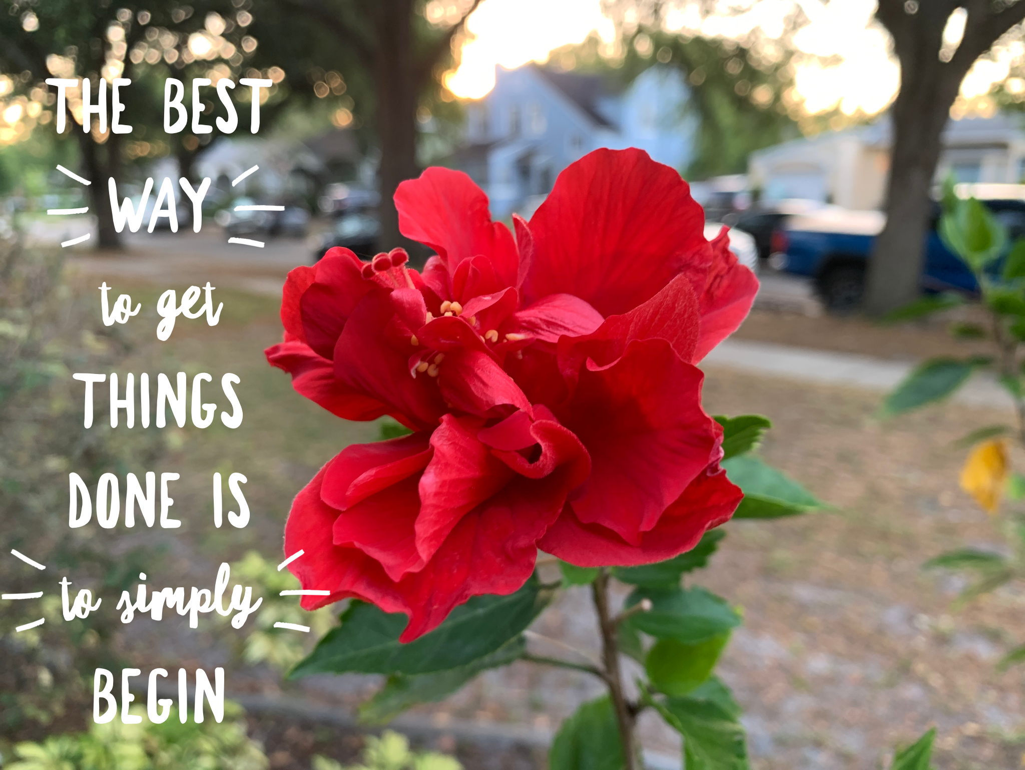 Sunday – Rise and shine