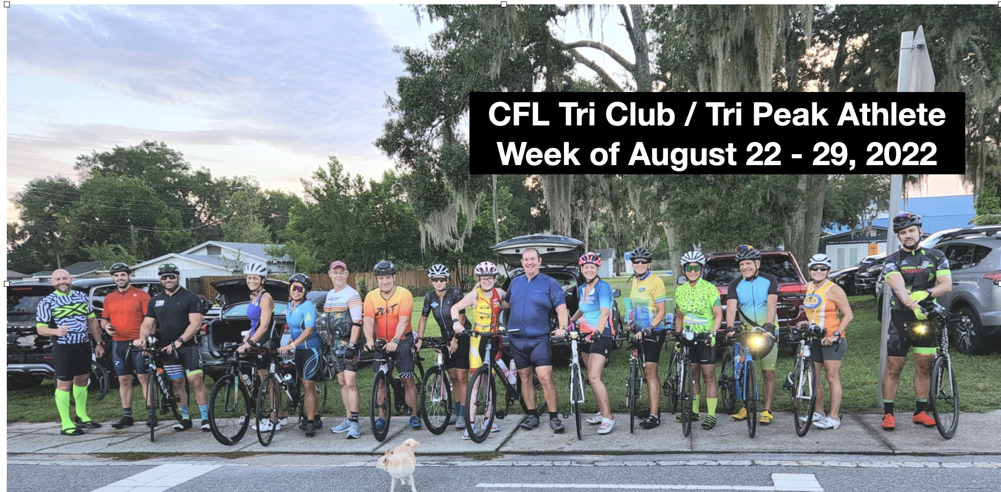 Week of August 22 – 28, 2022