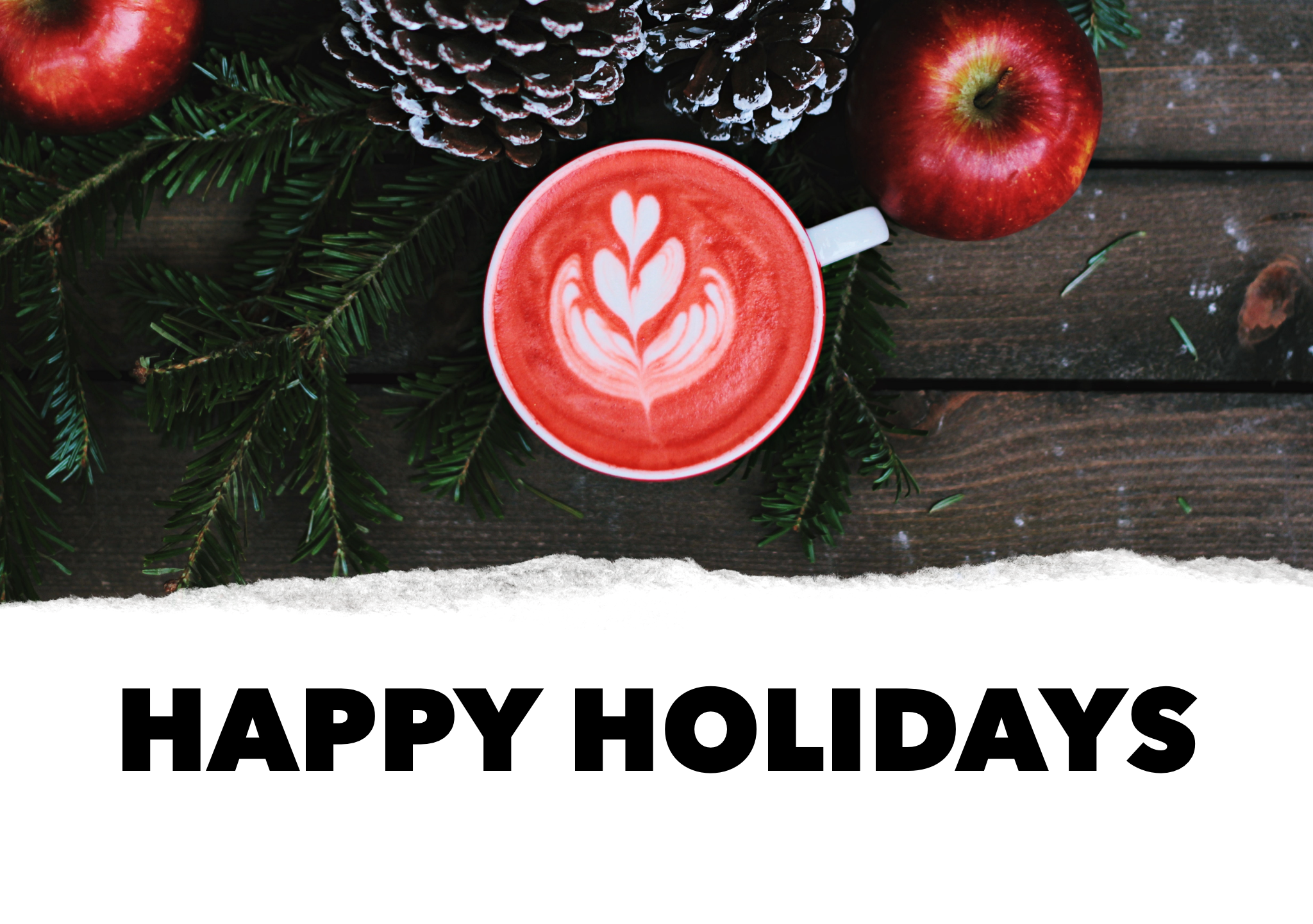 Merry Christmas and Happy Holidays